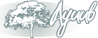 Ayuub