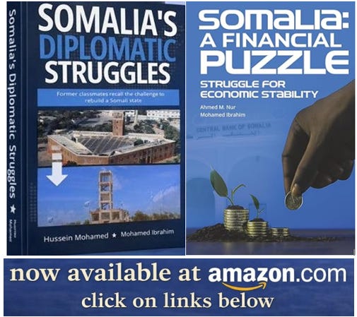 Somalia: A Financial Puzzle - book cover